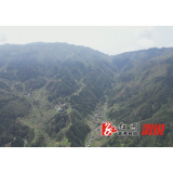 溆浦县：防患于未“燃”，筑牢森林“防火墙”