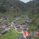 中都乡高坪村：古色古香古韵味 风拂青岗焕新彩