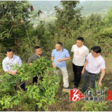 湖南中医药大学来溆开展科技帮扶