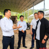 许忠建在芷江乡村督导检查工作时强调：抓紧抓好春耕春种工作 夯实粮食稳产增收基础