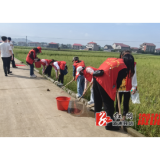 卢峰镇：巾帼风采耀田间，清渠春耕展新颜