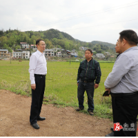 杨廉喜到乡镇调研防汛备汛、耕地抛荒治理、耕地恢复等工作