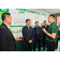发展这个产业，怀化胸有成“竹”