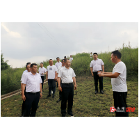 郑湘到乡镇督导生态环境保护工作并召开生态环保专题工作会议