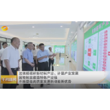 沈晓明调研新材料产业、计量产业发展 因地制宜建强特色产业链 不断塑造高质量发展新动能新优势