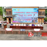 2024年溆浦县龙潭片区“山银花杯”男子篮球赛暨第二届“龙BA”篮球联赛开幕