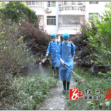 溆浦卫健局：全面开展灾后防疫 打好“健康保卫战”