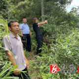 非法猎捕画眉鸟 自己成为“笼中鸟”