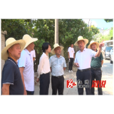 李波调研人大代表票决重点民生实事项目