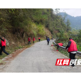 观音阁镇:党员干部带头清杂草 扮靓乡村通途暖民心