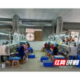 双井镇:小车间撬动大民生 家门口铺就致富路