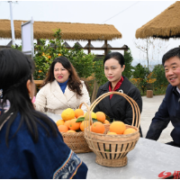 韦朝晖在麻阳调研时强调：立足资源禀赋 发挥比较优势 擦亮“世界长寿乡”金字招牌