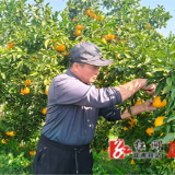 浴火重生!溆浦汉子王小江用勤劳托起“人残志坚”乡村致富梦