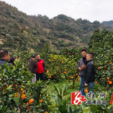 大江口镇：汇聚志愿力量 共建美好社会