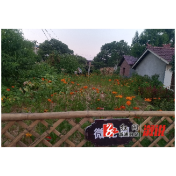 春风又度百花巷——双井镇百花村环境整治记事