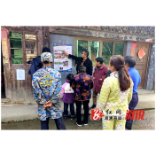 油洋乡：守护绿色家园 共创无毒乡村