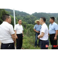郑湘到乡镇下沉接访 推动问题解决在一线
