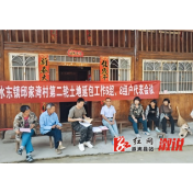 水东镇：油菜丰收季  农业新貌展活力