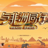 与非洲同行