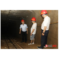 从严从细排查隐患 坚决守牢安全底线——杨廉喜督导检查重点行业领域安全生产工作