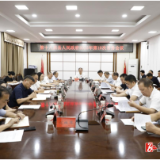 第十八届县人民政府2025年第10次常务会议召开