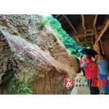 祖师殿镇：人大代表勇挑重担  筑牢防汛“安全堤”