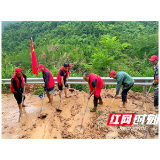 低庄镇：干群同心疏堵点  合力抢险保畅通