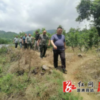 溆浦县库区移民事务中心：聚焦产业帮扶  助力移民增收