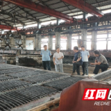市生态环境局溆浦分局：邀请省、市指导组现场帮扶 助力企业绿色发展