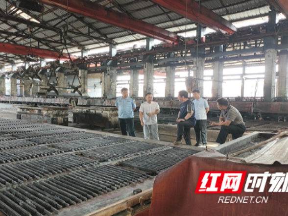 市生态环境局溆浦分局：邀请省、市指导组现场帮扶 助力企业绿色发展