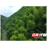 溆浦县中都乡：初秋避暑胜地 藏在山水间的 “天然空调”