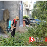 卢峰镇：开展全域蚊虫消杀行动 筑起防疫屏障