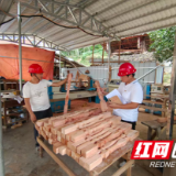 观音阁镇：党员亮身份 先锋显担当