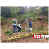 卢峰镇：筑牢秋季森林防火 “安全线” 全面巡查守护绿水青山
