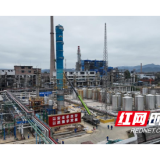 从“求活”到“求兴” 湘维破局重生启新程