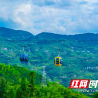 致怀化国际陆港男篮邀约书