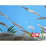 寒假摄影实践 学生用镜头定格乡村温情