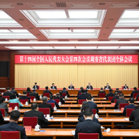 湖南代表团举行第五次全体会议和分组会议