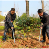 2026年全市集中义务植树活动举行