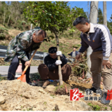 葛竹坪镇:党建引领添新绿 植树造林护生态