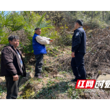 溆浦：森林公安局破获一起危害国家重点保护植物案