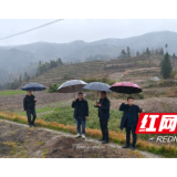 冒雨送“贷”助创业——溆浦县就业服务中心深入龙庄湾乡为种植户上门办理创业担保贷款
