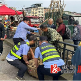 祖师殿镇：多部门联动赶集日  全方位守护平安路