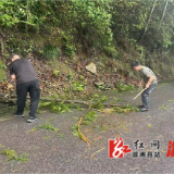 闻汛而动 向险而行—两丫坪镇全力筑牢防汛救灾“安全堤”