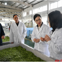 韦朝晖在沅陵调研