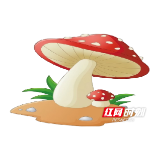 特别提醒：路边野蘑菇勿采食！小心中毒致命！