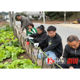 观音阁镇：和美乡村微改造 人居环境精提升