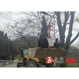 葛竹坪镇： 路灯亮了 群众笑了  民生实事惠民生