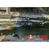 三江镇：严厉打击非法捕捞 守护水域生态