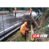 县公路建设养护中心：3·3暴雨突袭！ G241线大树横路  养护队紧急排险保畅